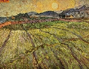 Landschaft mit gepfl�gten Feldern nach van Gogh